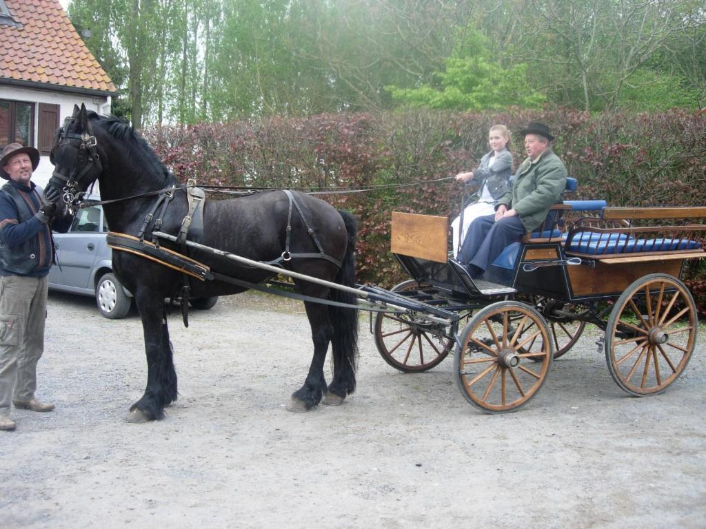 B&B Ter Castaigne Koekelare Kültér fotó