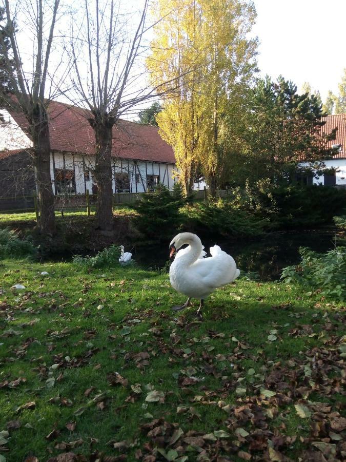 B&B Ter Castaigne Koekelare Kültér fotó